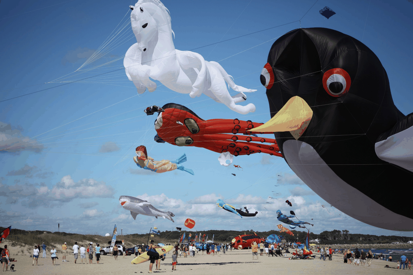 32 of the best November events and festivals around Wilmington